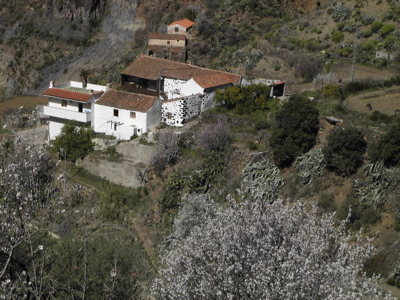 Hof oberhalb von Tejeda